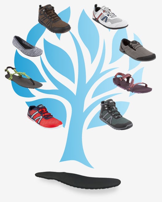 Assorted barefoot shoes displayed in a tree-like arrangement against a plain background.